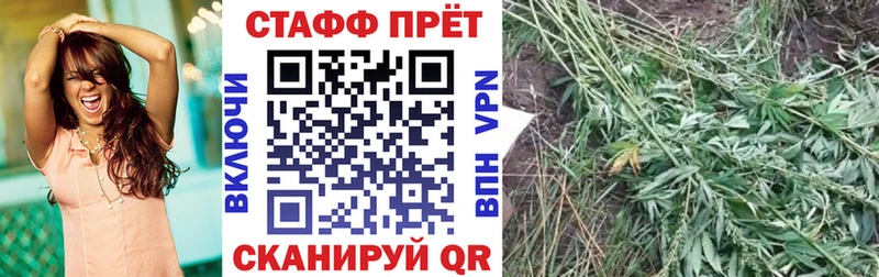 Где купить наркоту Верхний Тагил Гашиш  Амфетамин  Меф мяу мяу  Alpha-PVP 